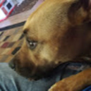 Meet your Posher, Roberta